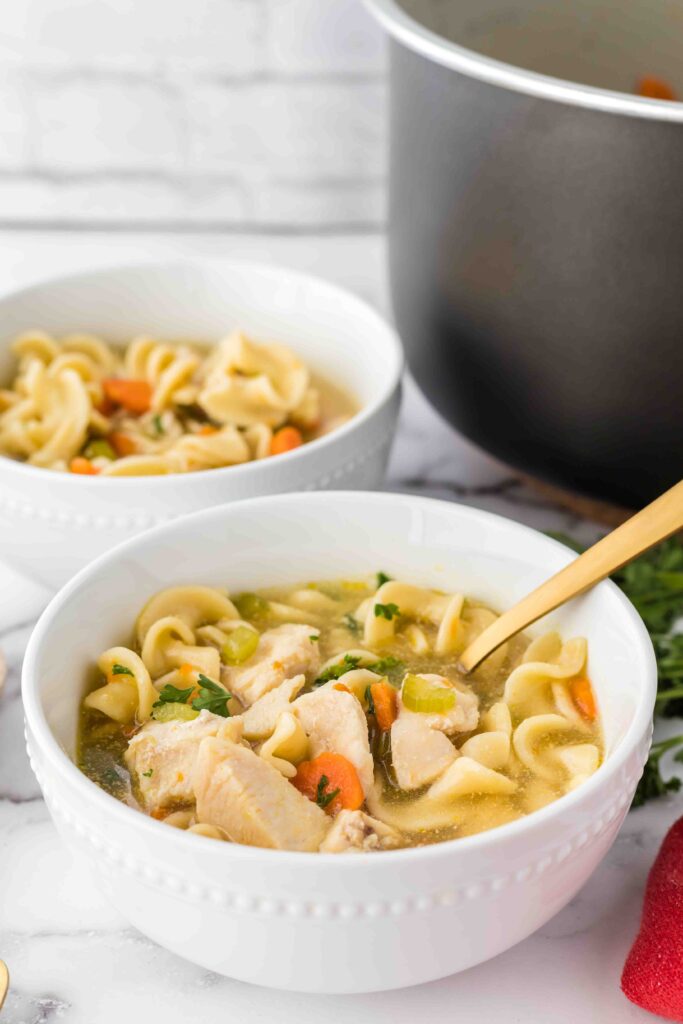 Instant-Pot-Chicken-Noodle-Soup-2-white-bowls-with-spoon