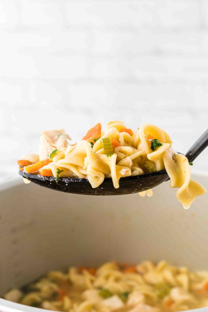 Instant-Pot-Chicken-Noodle-Soup-on-side-black-spoon