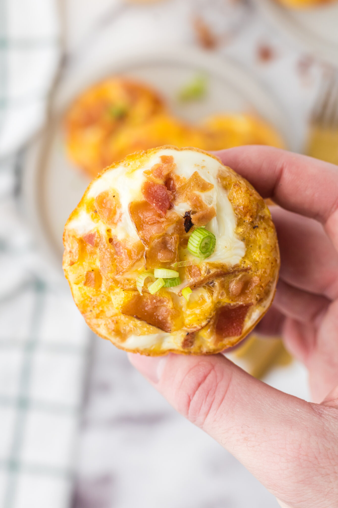 Breakfast Bites - Stephanie's Way